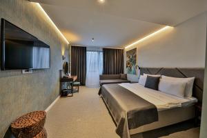 TV a/nebo společenská místnost v ubytování Hotel Botanica