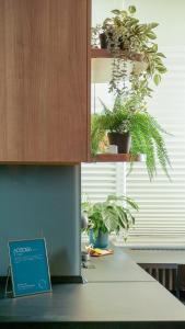 a kitchen with potted plants on a counter at Aozora Central Studio in Bucharest +16 photos