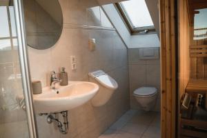 a bathroom with a sink and a toilet at Albpanorama Apartment mit Sauna und Ausblick in Hohenstein +16 photos