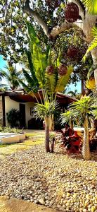 a group of palm trees in front of a house at Villa Biju in Jericoacoara