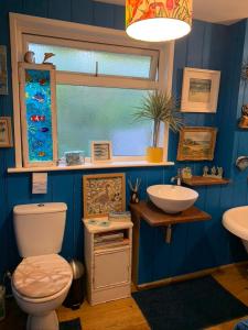 a blue bathroom with a toilet and a sink at Silverspring Farm En suite in Constantine