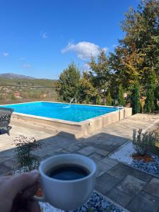 a person holding a cup of coffee next to a swimming pool at Pine Serenity Villa in Novoberdo