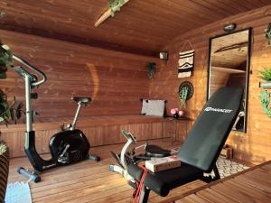 a gym with a treadmill and a exercise bike at Pet friendly cabin with amazing view in Petrinja