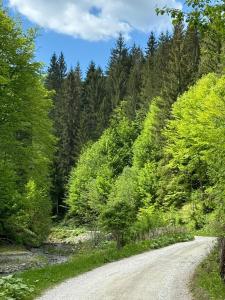 Gallery image of Cabana dintre Văi in Runcu