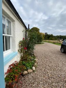 Κήπος έξω από το Dalvey Ploughmans Cottage +23 φωτογραφίες