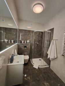 a bathroom with a shower and a sink and a toilet at Apartament Astra - Bliżej Zdroju in Polanica-Zdrój