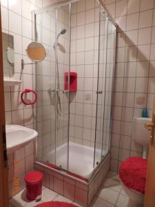 a shower with a glass door in a bathroom at Pension Waldblick in Grillenberg