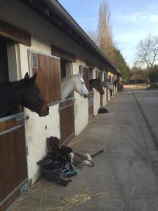 Afbeelding uit fotogalerij van Les Prémices De La Forêt in Chailly-en-Bière