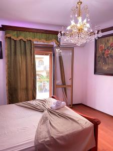 Fotografie z fotogalerie ubytování Pensione Dahab v destinaci Dahab