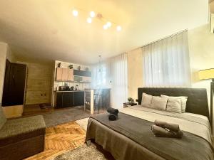 Kuchyň nebo kuchyňský kout v ubytování Amazing apartman in Bele Vode + 10 fotografií