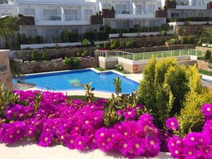 Bazén v ubytování Nova Beach Paradise Apartment nebo v jeho okolí