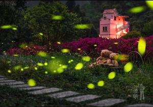 Zahrada ubytování 岩川森林民宿 Springcreek B&B