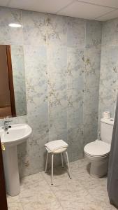 a bathroom with a toilet and a sink at Hostal la Embajada in Talavera de la Reina +21 photos