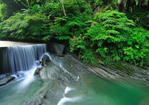 a waterfall in the middle of a river with trees at 岩川森林民宿 Springcreek B&B in Zhuolan