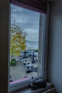 una ventana con un gato en el alféizar de una ventana en Ti Gwer - vue mer - wifi, en Crozon