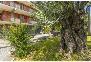 Zahrada ubytování Il Giardino di Pietra