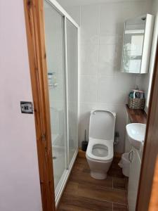 a bathroom with a shower and a toilet and a sink at The pastures in Morpeth