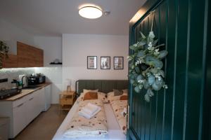 Kuchyň nebo kuchyňský kout v ubytování Apartmány V zahradě