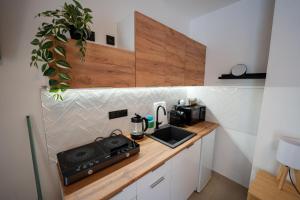 Kuchyň nebo kuchyňský kout v ubytování Apartmány V zahradě