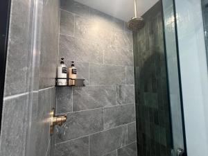 a bathroom with a shower with two bottles on a shelf at Star Gazer in Orderville