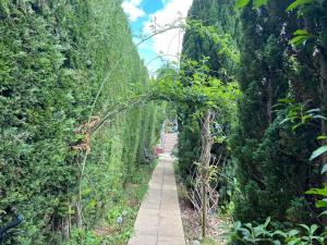 un sentiero attraverso una foresta di alberi con di Petite maison cosy au fond du jardin a Belle-Église