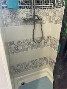 un bagno con doccia con tenda da doccia di Petite maison cosy au fond du jardin a Belle-Église Altre 10 foto