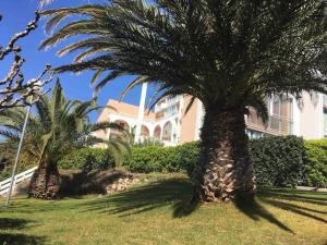 two palm trees in front of a building at La Mascotte de Sète studio cabine Pking in Sète