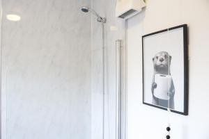 a picture of a dog in a shower at Top Spot 2-Bed Spacious Apartment Town Centre Train Station WIFI in Colchester +16 photos