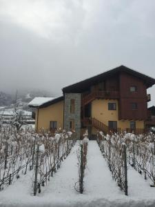 La Vigne de Papagran v zime