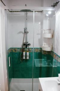 a shower in a bathroom with a green tile at Loft Molino de Erillas in Alora +18 photos