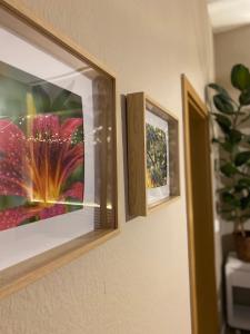 two pictures hanging on a wall in a room at K2-Project - Dschungel-Abenteuer in Chemnitz
