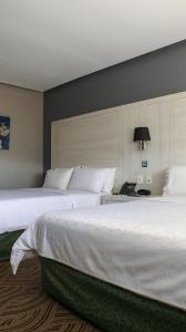 Postel nebo postele na pokoji v ubytování Holiday Inn Express Pachuca by IHG