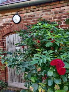 A garden outside Schuberts Oderbruch Landpension