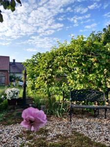 A garden outside Schuberts Oderbruch Landpension