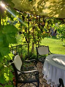 A garden outside Schuberts Oderbruch Landpension