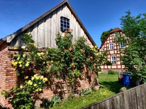 A garden outside Schuberts Oderbruch Landpension