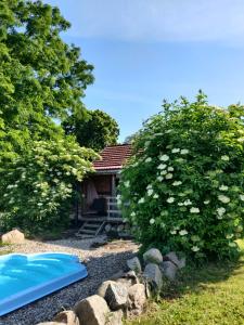 The swimming pool at or close to Schuberts Oderbruch Landpension