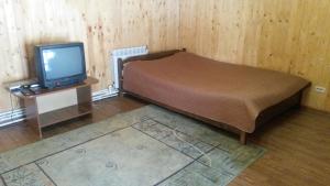 ノヴォアブザコヴォにあるHoliday House on Lugovaya streetのベッドルーム(ベッド1台、テーブル上のテレビ付)