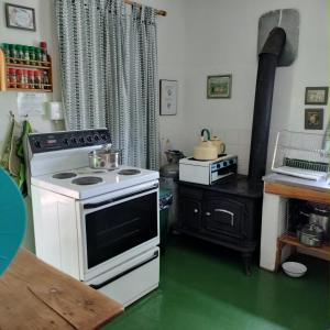 una cocina con estufa blanca y horno negro en Den Hagen Guest Farm, en Rhodes