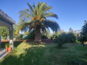 Zahrada ubytování Cottage Gran Canaria completely renovated with Jacuzzi