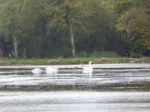 VellesChambre Bleue Lumineuse et Climatisée - FR-1-591-672的相册照片