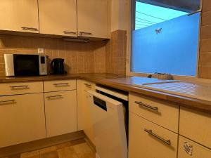 Kuchyň nebo kuchyňský kout v ubytování Ferienwohnung Dreiländerblick