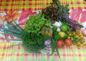 Cibo presso il campeggio o nelle vicinanze
