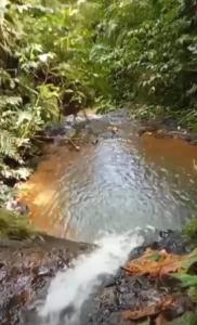 Paesaggio naturale nelle vicinanze del campeggio