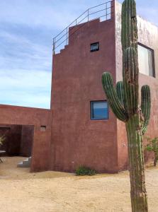 a cactus standing in front of a building at Estudio Nacui in El Sargento +1 photo