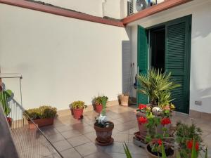balkon z doniczkami i zielonymi drzwiami w obiekcie Il Cavalliere Bed & breakfast w mieście Barletta