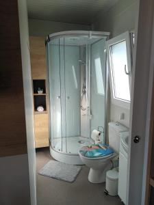 a bathroom with a glass shower and a toilet at Mobile Home L&L in Drage +29 photos