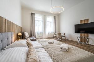 TV a/nebo společenská místnost v ubytování Apartmánový Dům Centrum