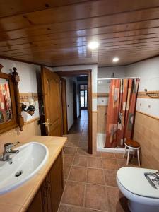 a bathroom with a sink and a toilet and a shower at La Tofonera, alojamiento rural in Vimbodí