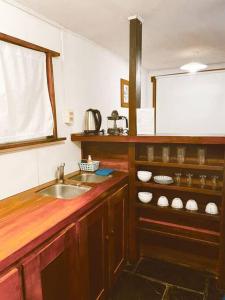 eine Küche mit Spüle und Arbeitsplatte in der Unterkunft La casita azul in San Martín de los Andes + 13 Fotos